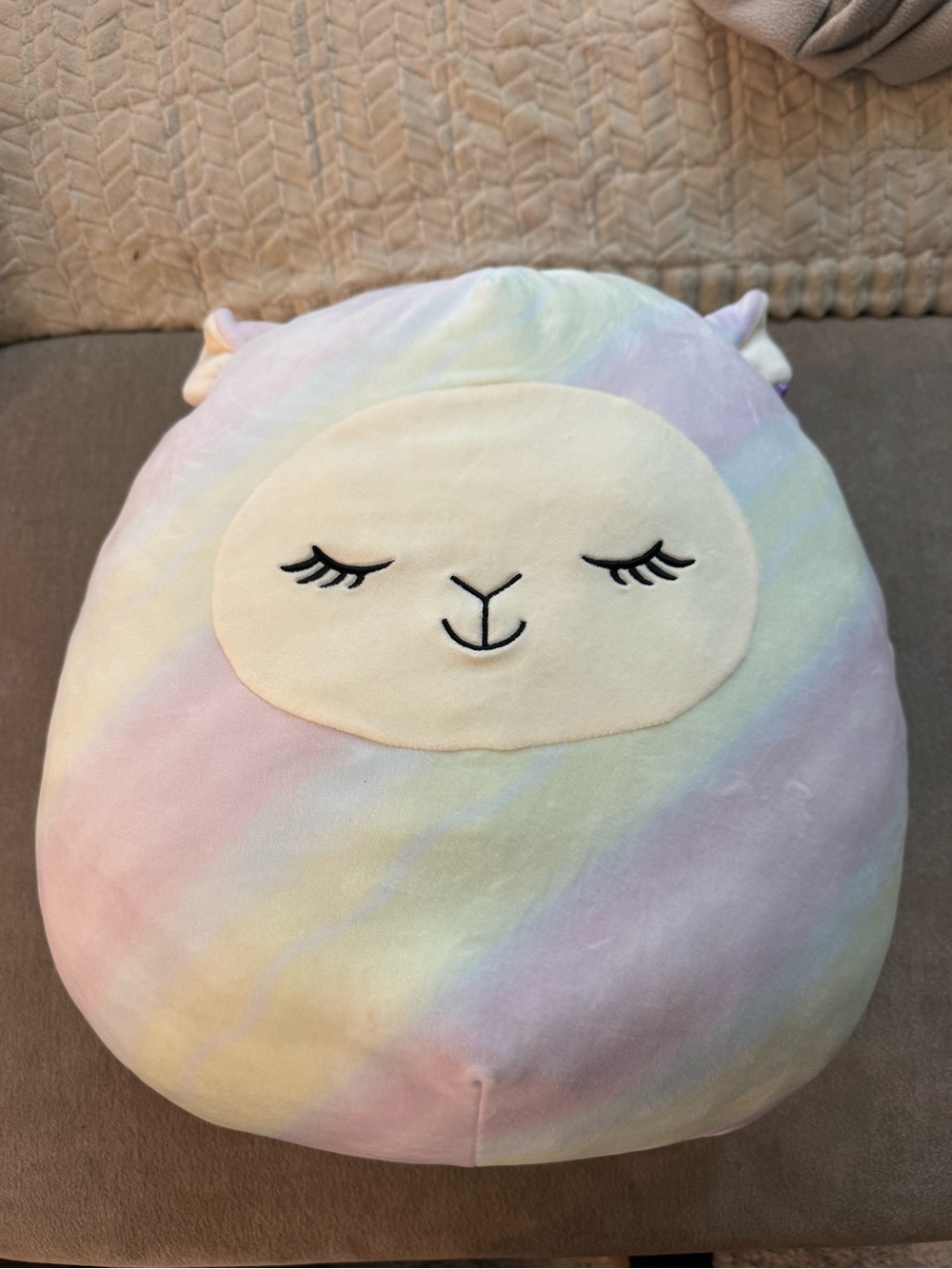 Squishmallow Lucy-May Rainbow Llama